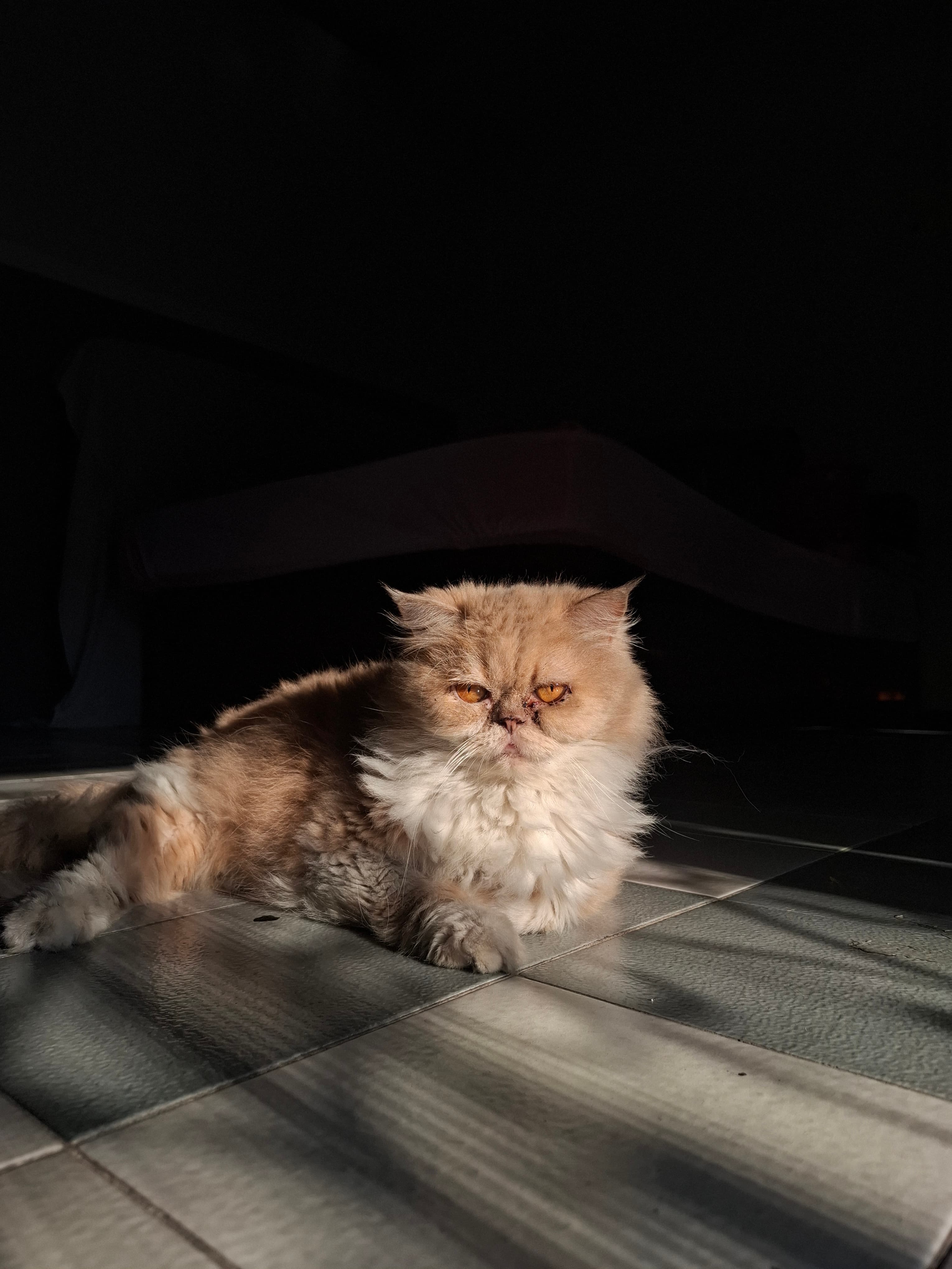Luna I