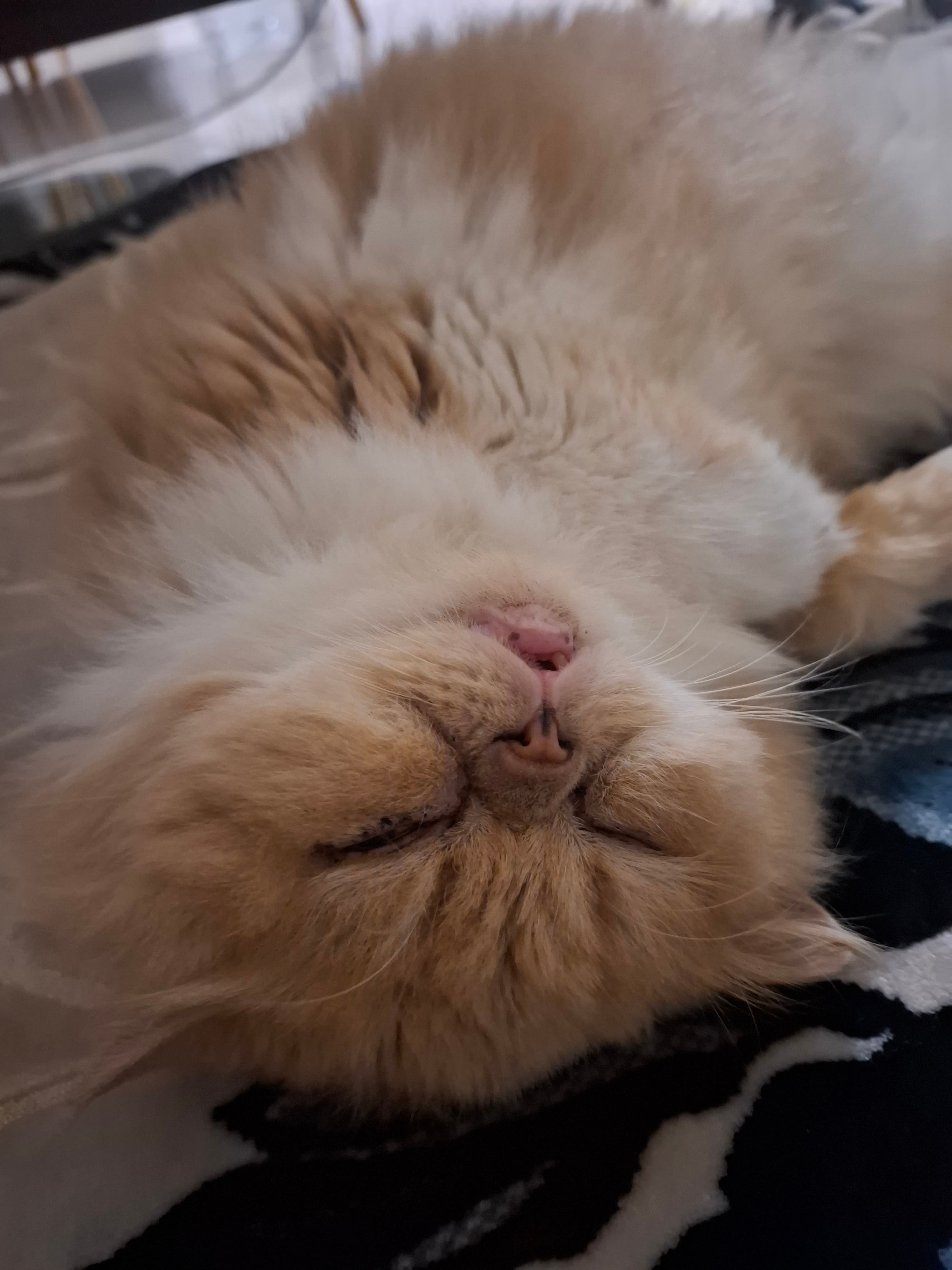 Luna II