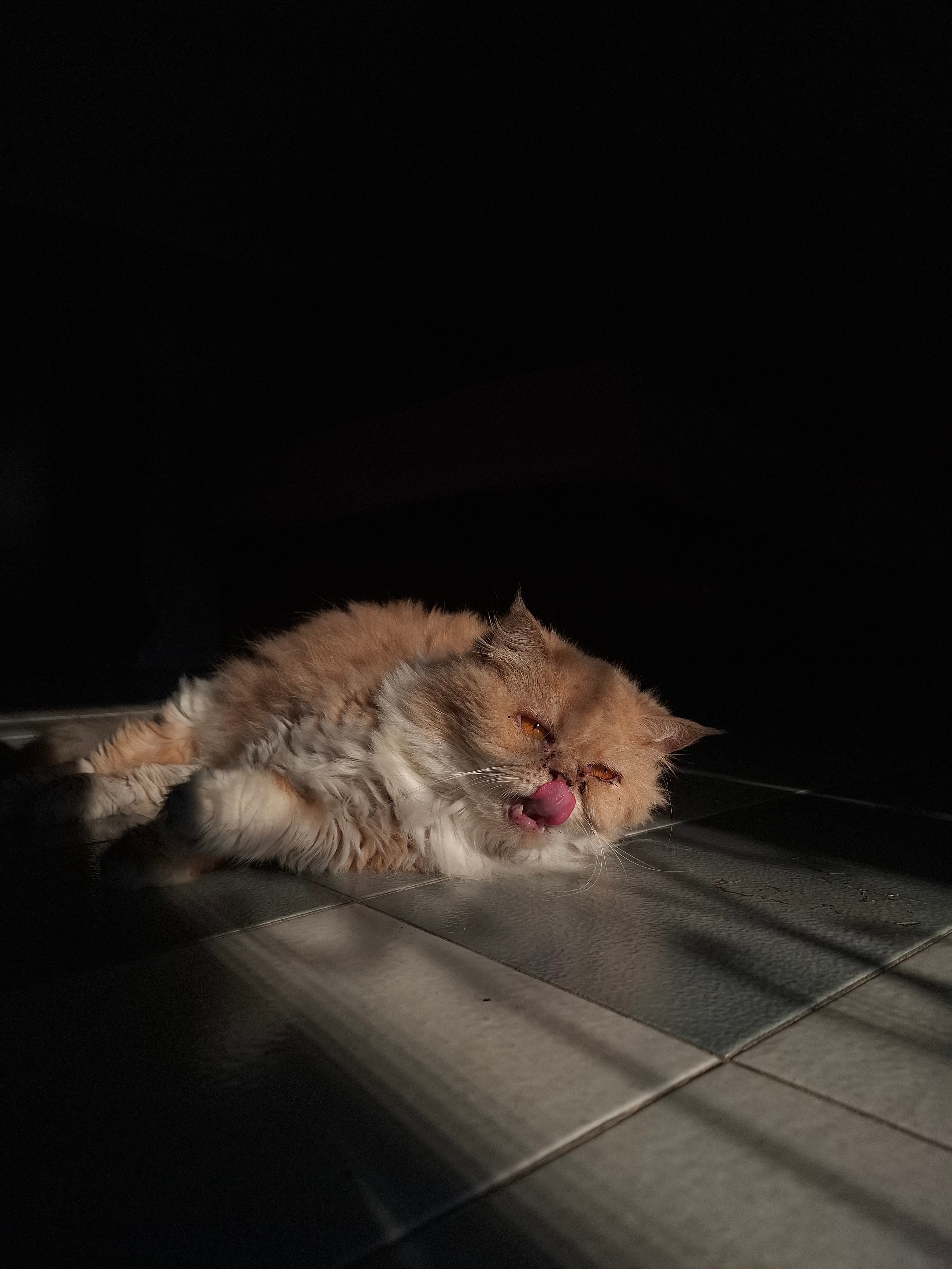 Luna V